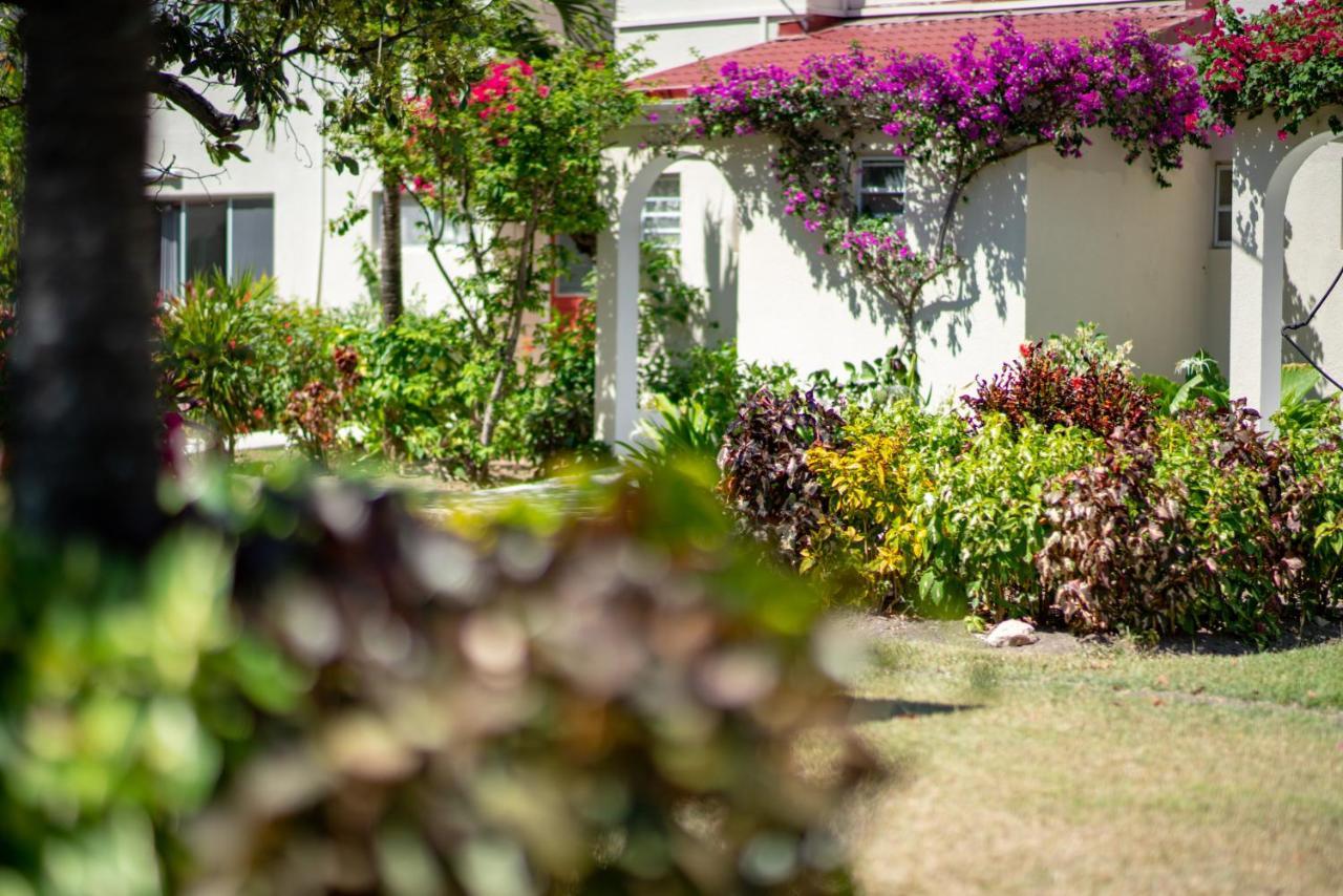 Antigua Village Beach Resort Dickenson Bay المظهر الخارجي الصورة